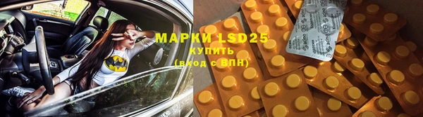 ПСИЛОЦИБИНОВЫЕ ГРИБЫ Армянск